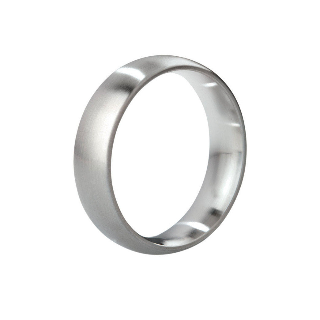  Nhập sỉ The Earl Brushed Steel  chính hãng 