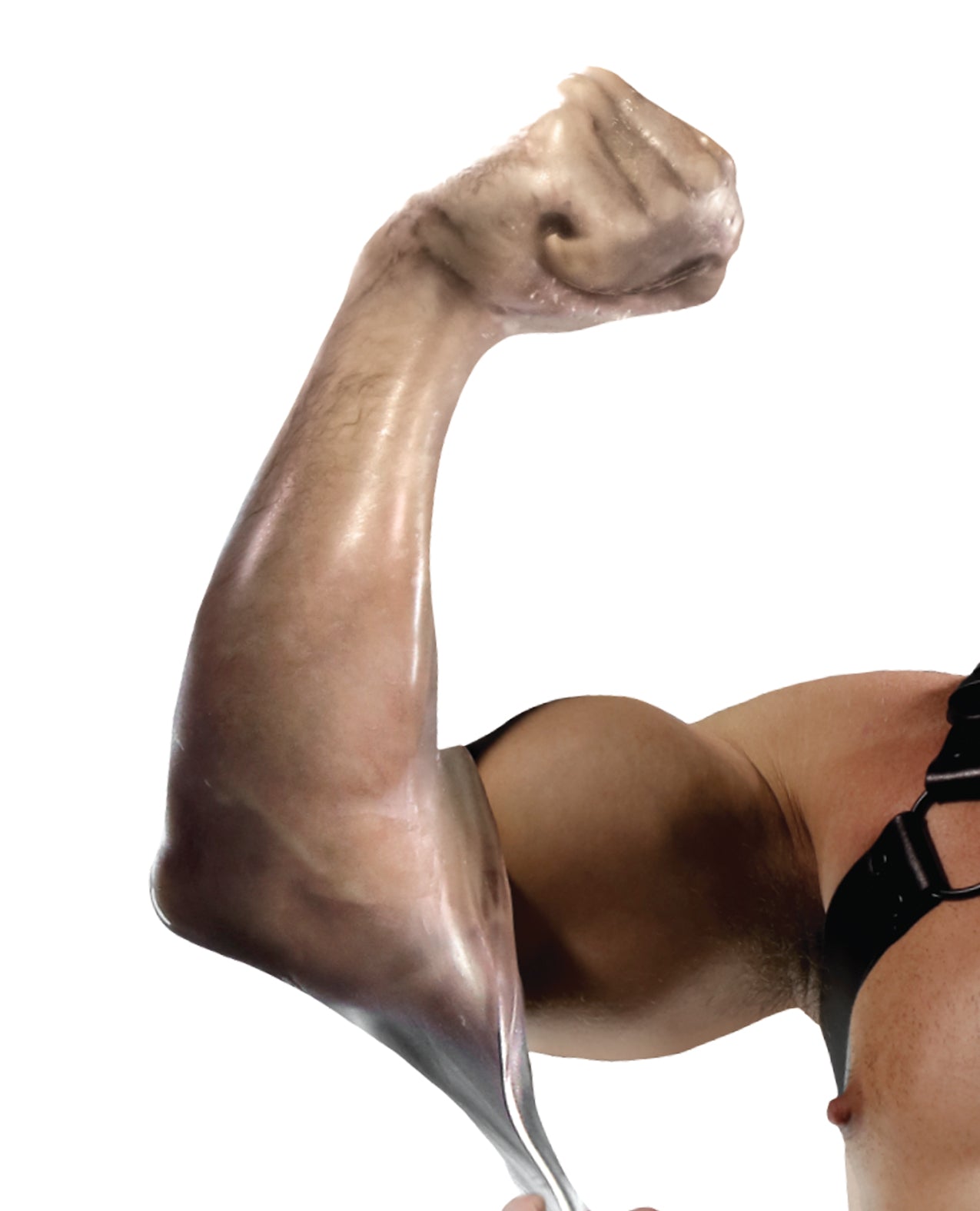 Giá sỉ Fort Troff FFister  giá tốt 